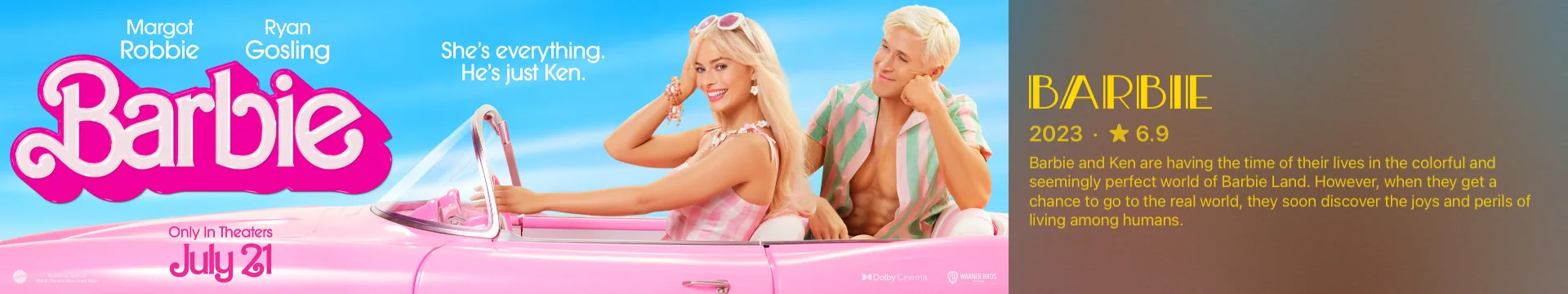 Bar display showing Barbie banner artwork beside a panel with the title, year, rating and overview